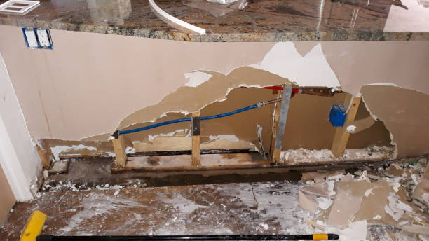 Best Flood damage cleanup  in Hope, AR